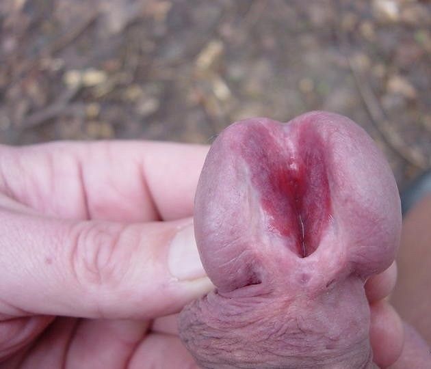 мой пополам