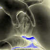 sex