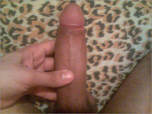 как он тебе сучка?