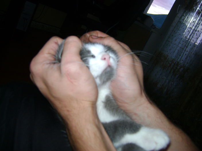 Личные фото