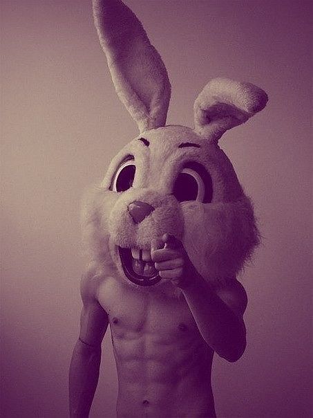 ЗАЙКО)