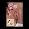 pussy jwellary6