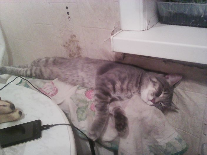 Личные фото