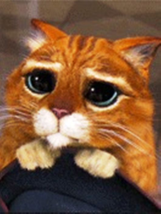 завожу с полоборота