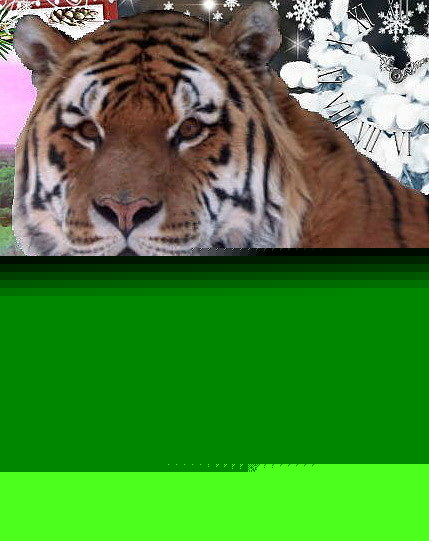 Я тигр