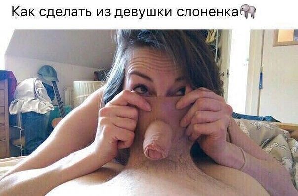 Слонёнок.