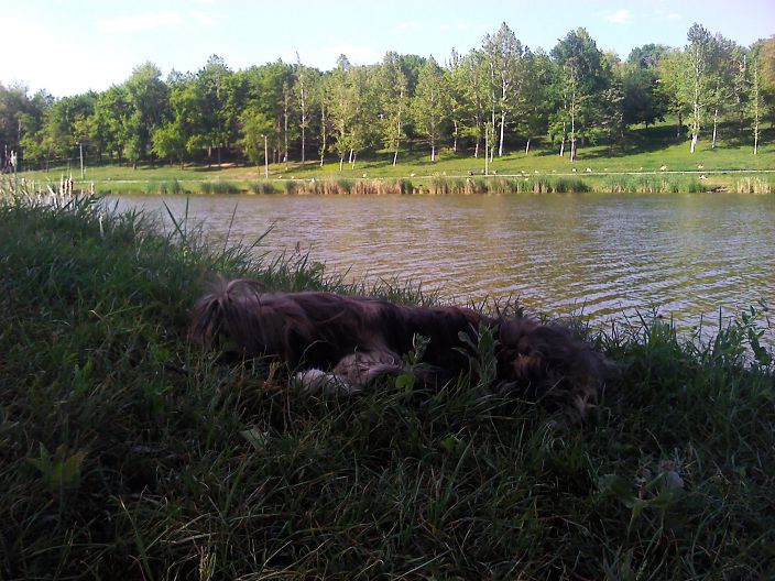 Алло,вы где?