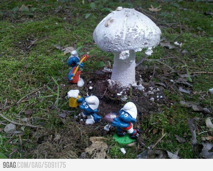Mushroom:))