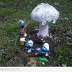 Mushroom:))