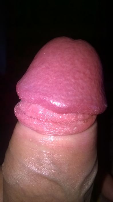 WHO WANT MY DICK