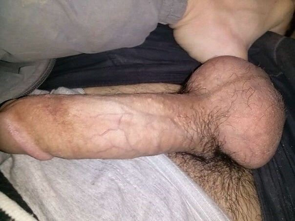 Мой