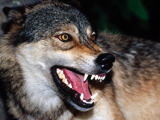 хочу секса