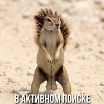 в активном