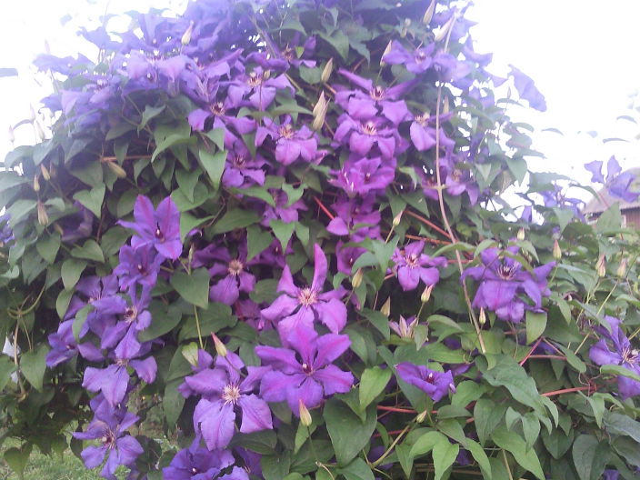 Личные фото