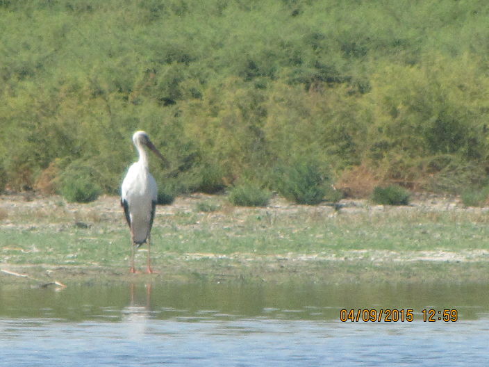 одиночество
