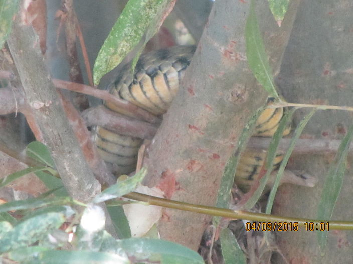 меня не видно