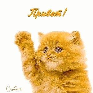 всем привет!! такое ощущение что здесь за фото женщин му