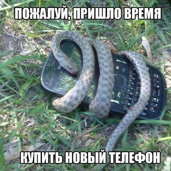 ух  змеи есть??