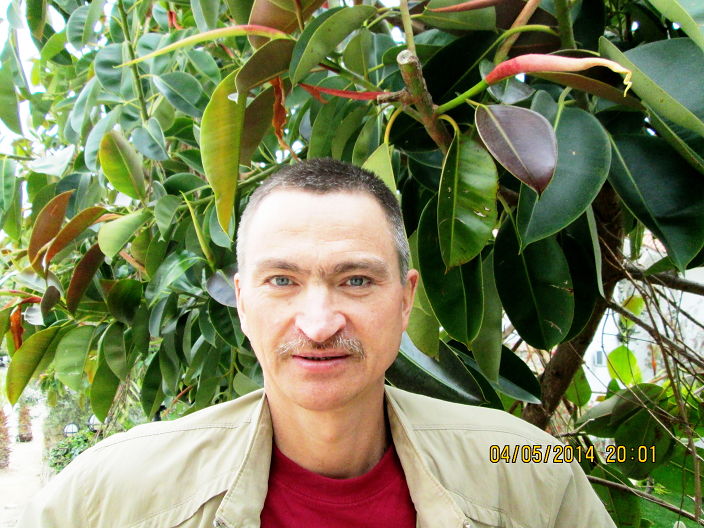 Турция,Олюдениз,под Фикусом