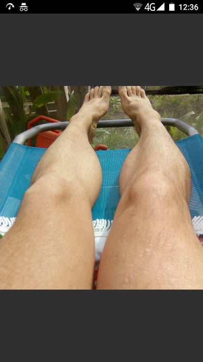 Mis patas al sol