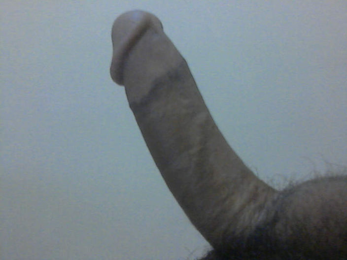my penis