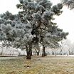 в Николаеве