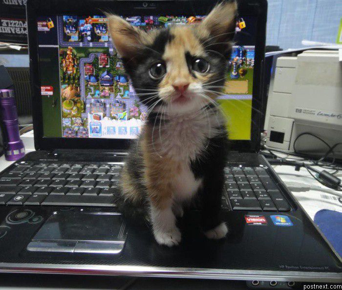 Мои старые фото