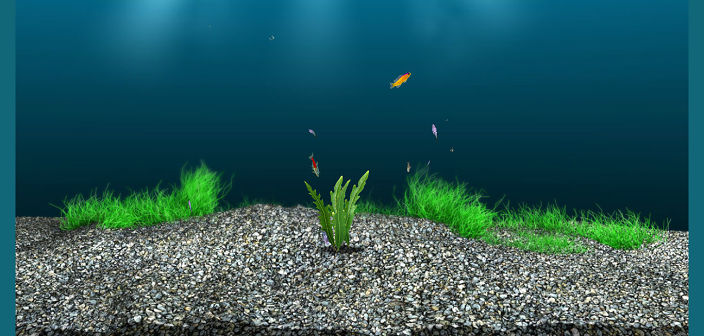 море