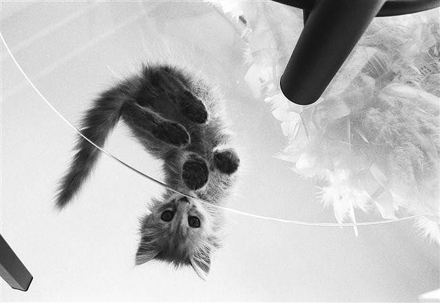 Личные фото