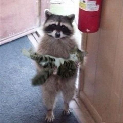 123