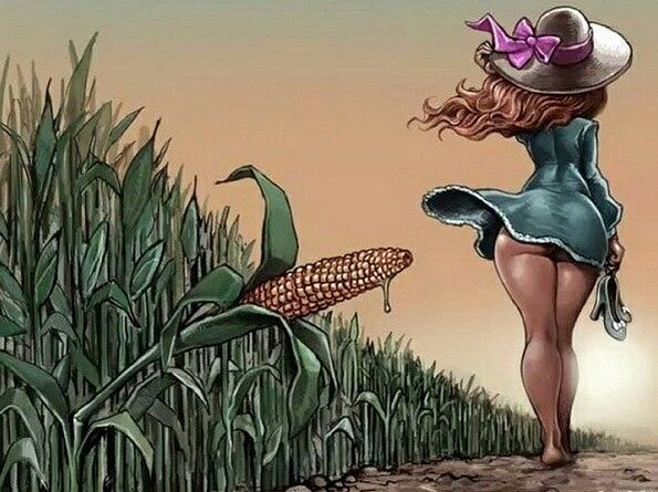 даже у кукурузы встал))