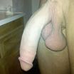 9 Inch Cock