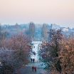 в Николаеве