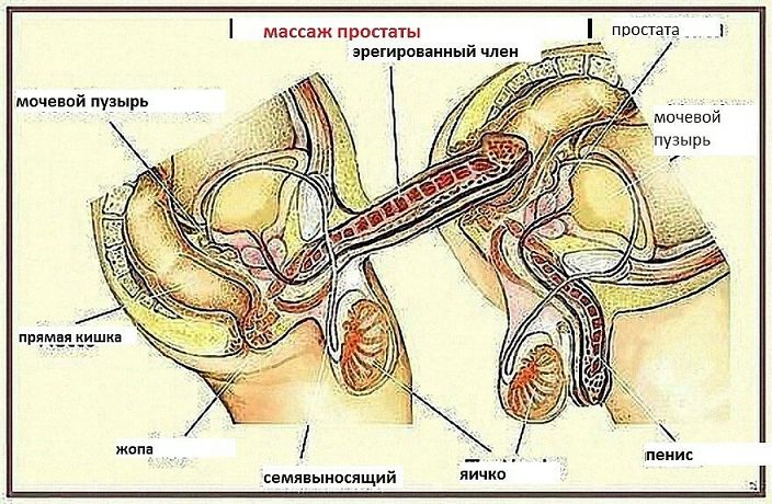 привет