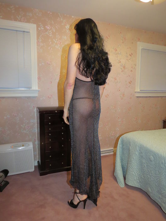 Black Sheer Long Dress