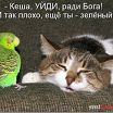 секс