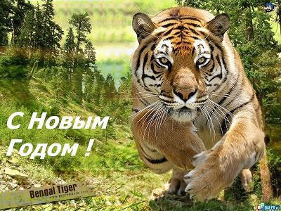 Мои старые фото