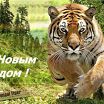 Мои старые фото