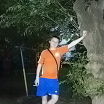 лето.....скучаю