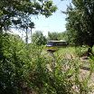 в Николаеве