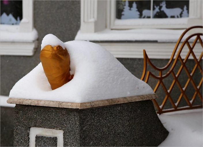 ЗИМОВИЙ  пейзаж