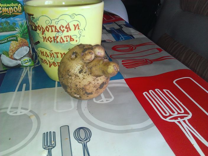 Всегда готов