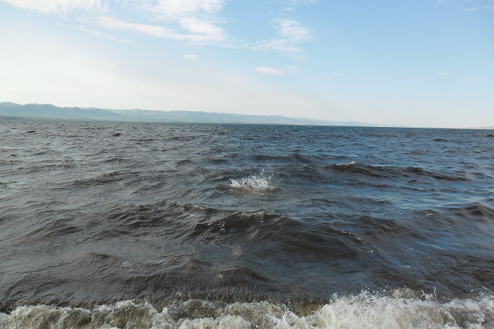 Я там есть !