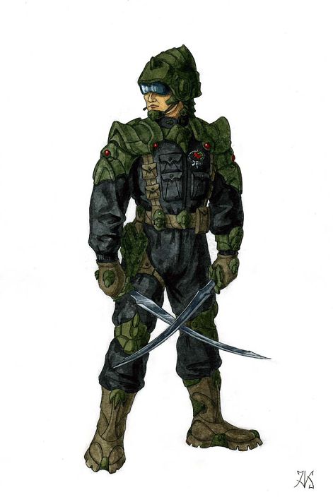 Солдат удачи