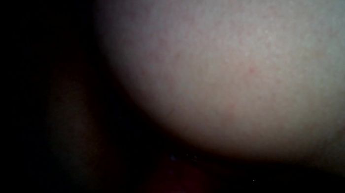 любимая норка