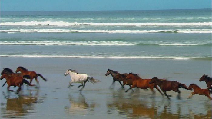 вот так происходит вутри когда занимаешься сексом