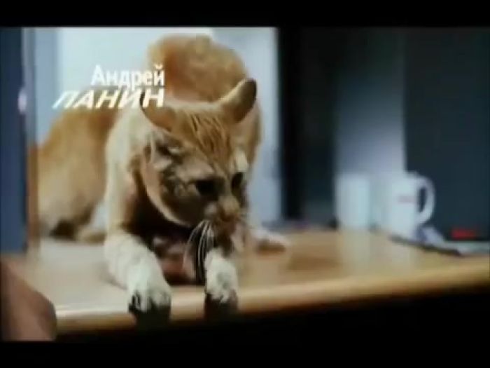 Бой с тенью 1 и 2 (Рэп про боксёров на ринге)