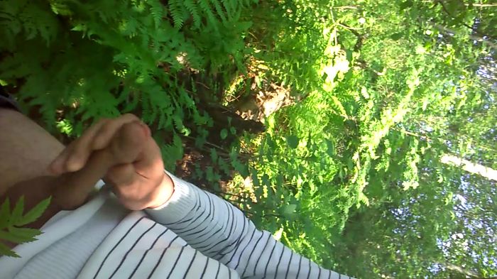 в кустиках такое бывает :)))