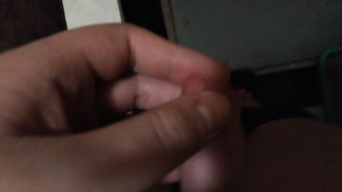 Дрочу поки не потичот сперма