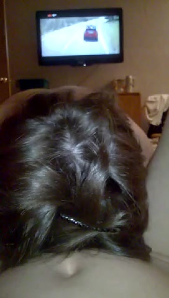 Заглатывает член